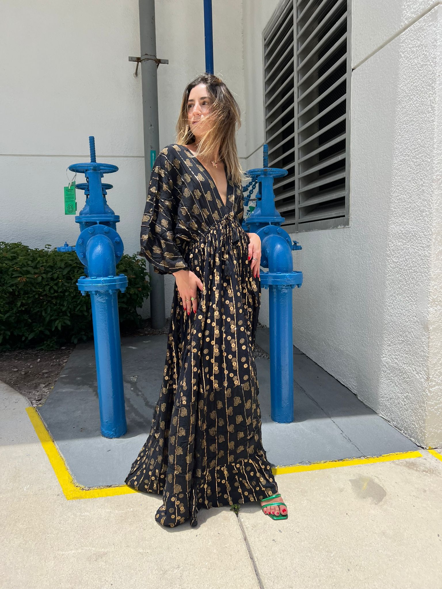 VAS - Silk Dress Long Sleeves
